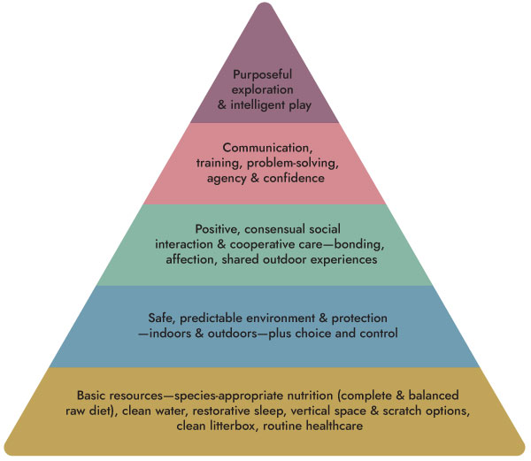 Adventure-Cat-Training-101-Booklet