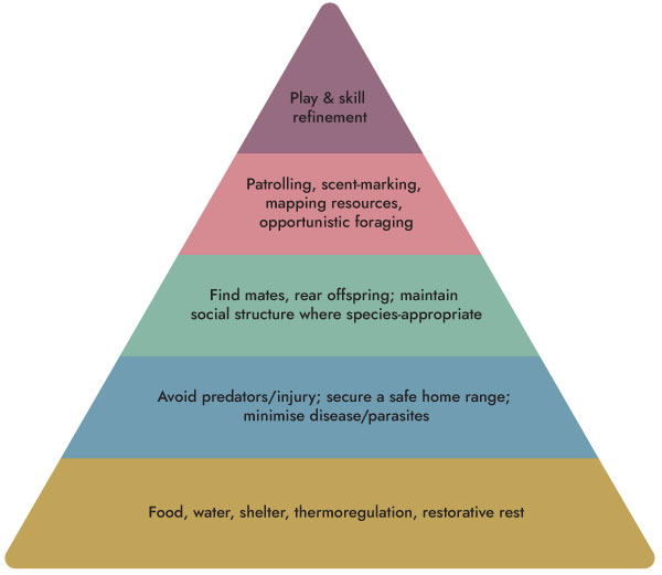 Adventure-Cat-Training-101-Booklet_2