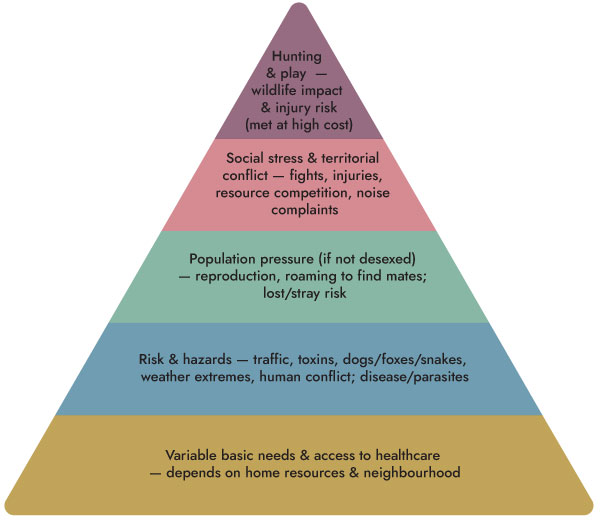 Adventure-Cat-Training-101-Booklet_3