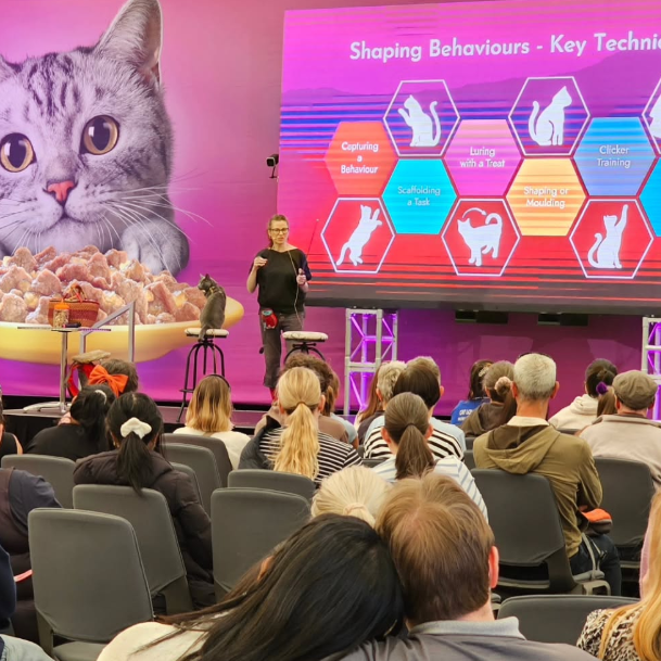 Kepler Copernicus and Sonia Hank on stage at Cat Lovers Festival; calm behaviour in a noisy crowd.